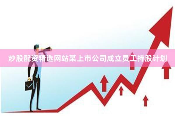 炒股配资精选网站某上市公司成立员工持股计划