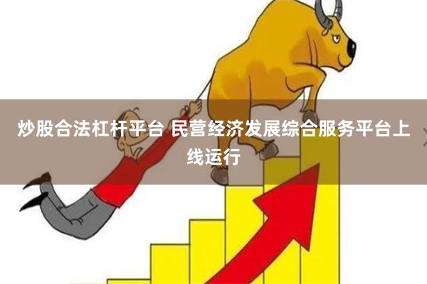 炒股合法杠杆平台 民营经济发展综合服务平台上线运行