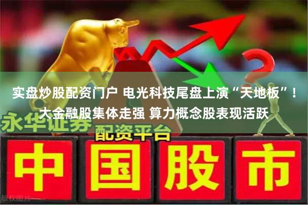 实盘炒股配资门户 电光科技尾盘上演“天地板”！大金融股集体走强 算力概念股表现活跃